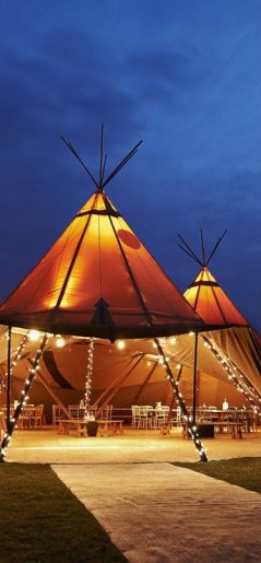 Tipi 1