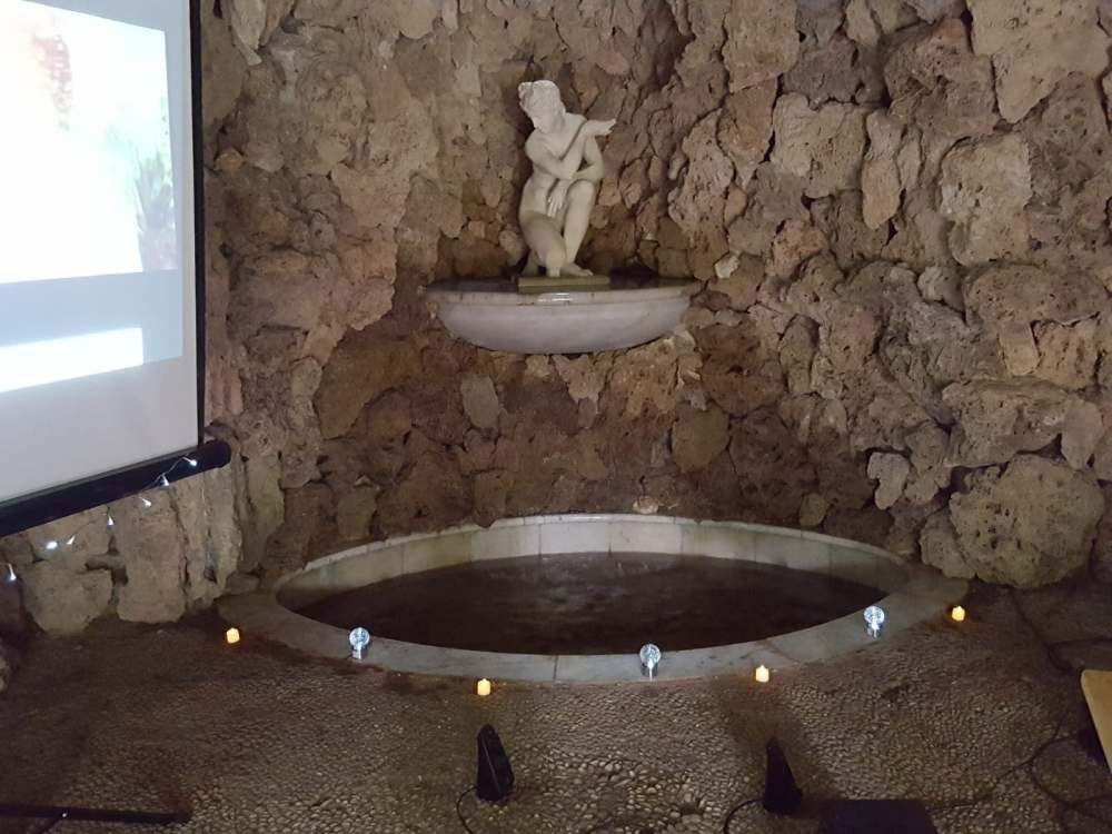 42509435_2239061263020982_2490428647622574080_n